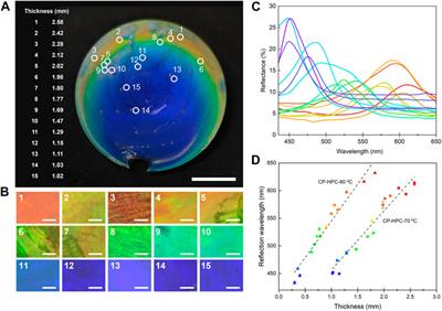 Achieving a full color palette with thickness, temperature, and humidity in cholesteric hydroxypropyl cellulose